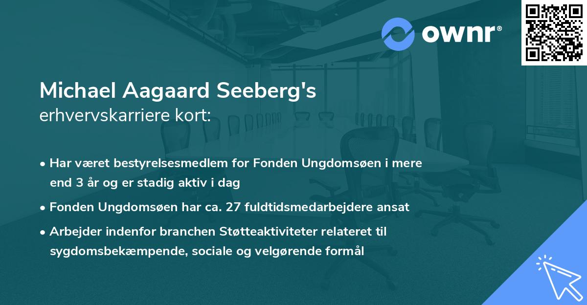 Michael Aagaard Seeberg's erhvervskarriere kort