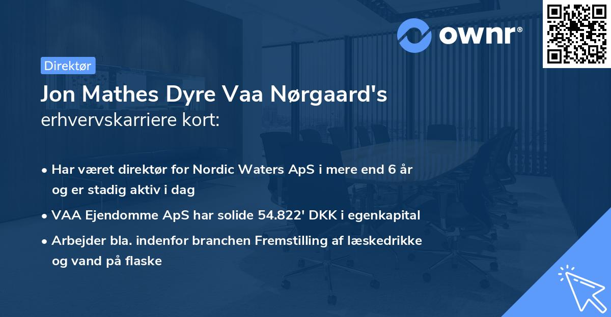 Jon Mathes Dyre Vaa Nørgaard's erhvervskarriere kort