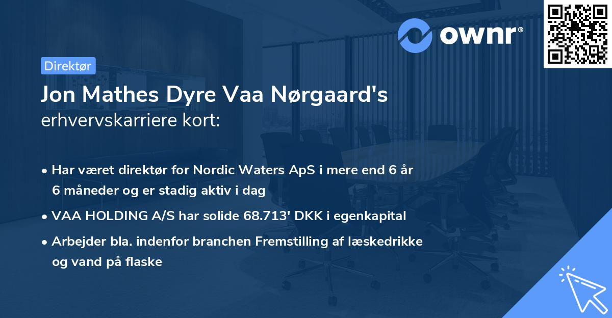 Jon Mathes Dyre Vaa Nørgaard's erhvervskarriere kort