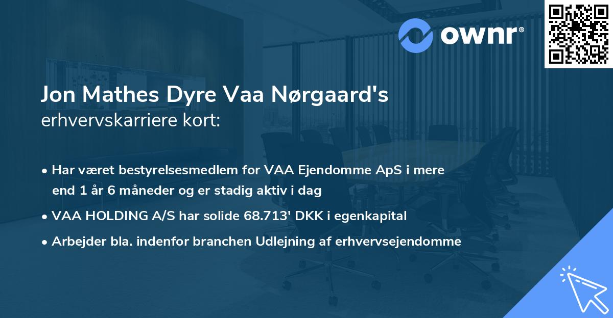 Jon Mathes Dyre Vaa Nørgaard's erhvervskarriere kort
