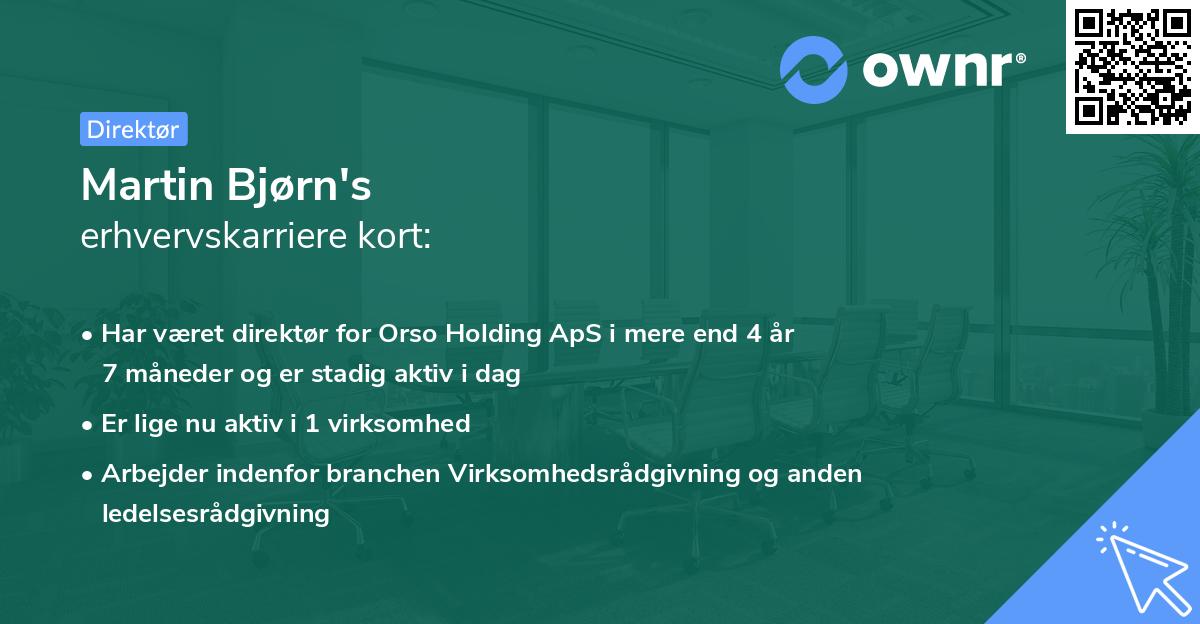 Martin Bjørn's erhvervskarriere kort