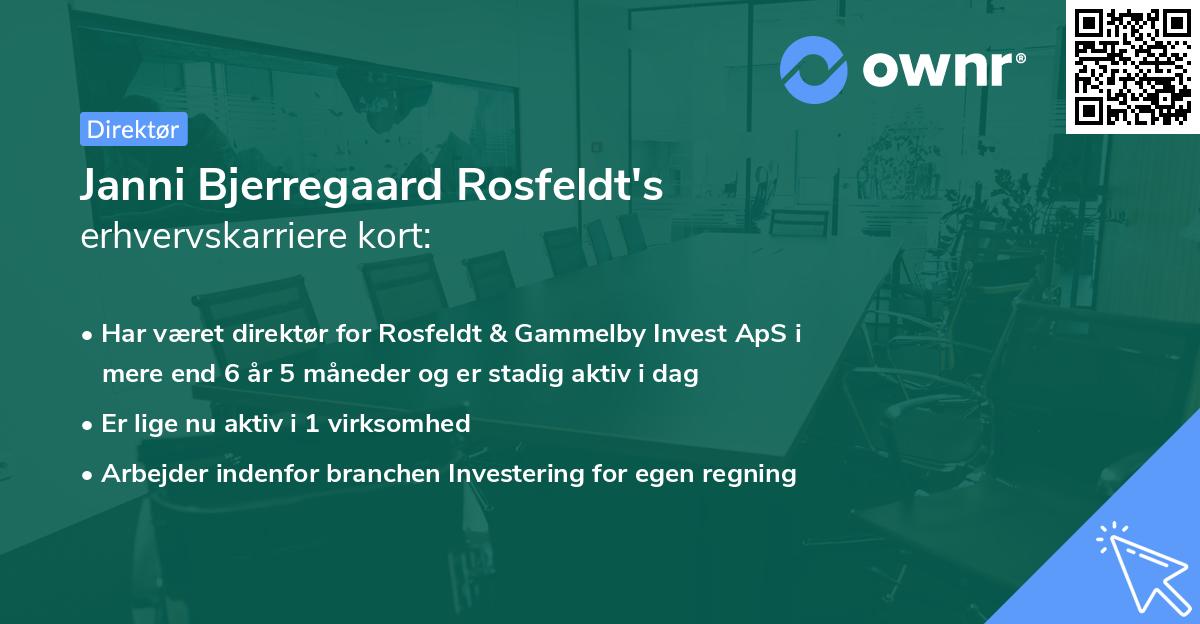 Janni Bjerregaard Rosfeldt's erhvervskarriere kort