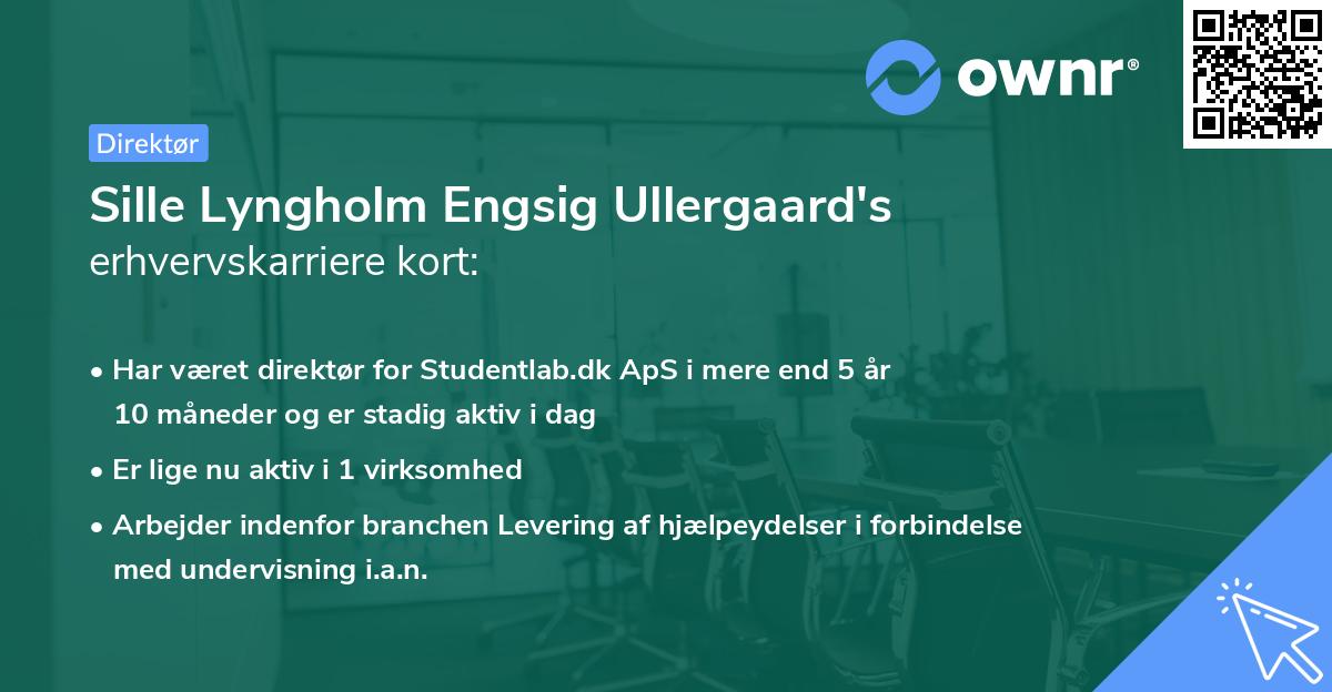 Sille Lyngholm Engsig Ullergaard's erhvervskarriere kort