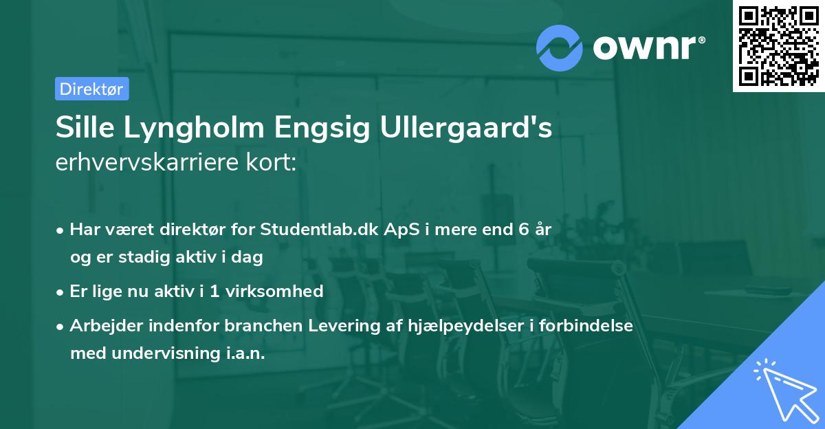 Sille Lyngholm Engsig Ullergaard's erhvervskarriere kort