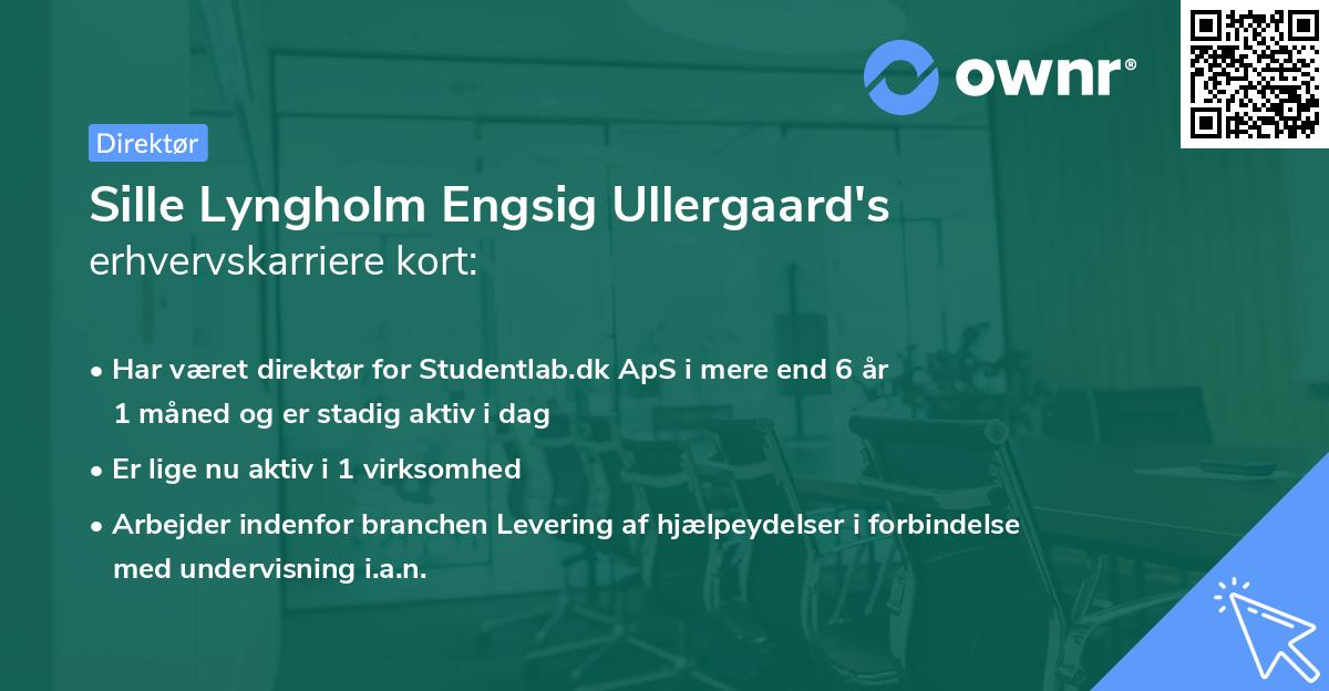 Sille Lyngholm Engsig Ullergaard's erhvervskarriere kort