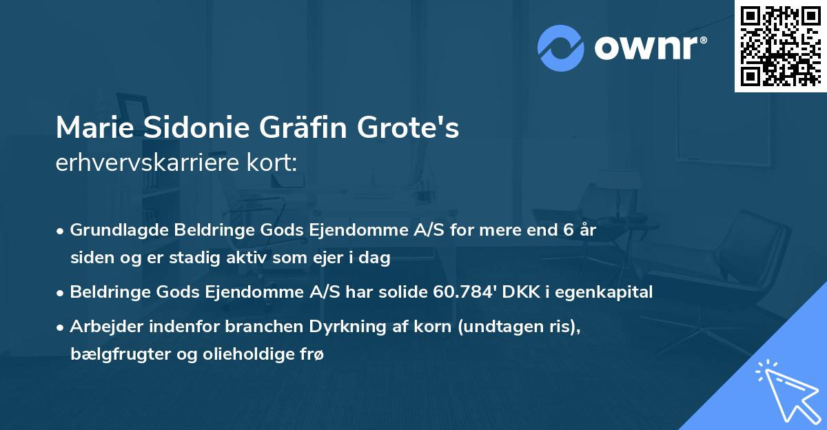Marie Sidonie Gräfin Grote's erhvervskarriere kort