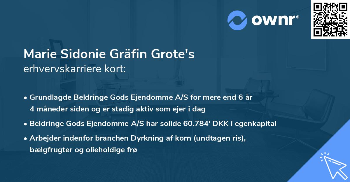 Marie Sidonie Gräfin Grote's erhvervskarriere kort
