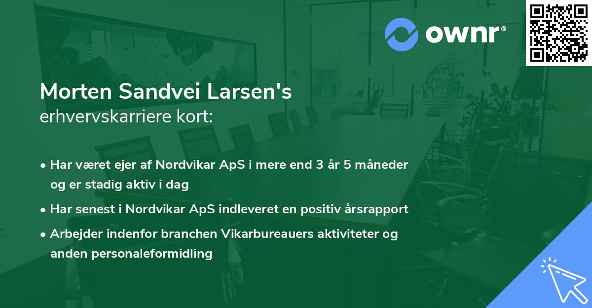 Morten Sandvei Larsen's erhvervskarriere kort