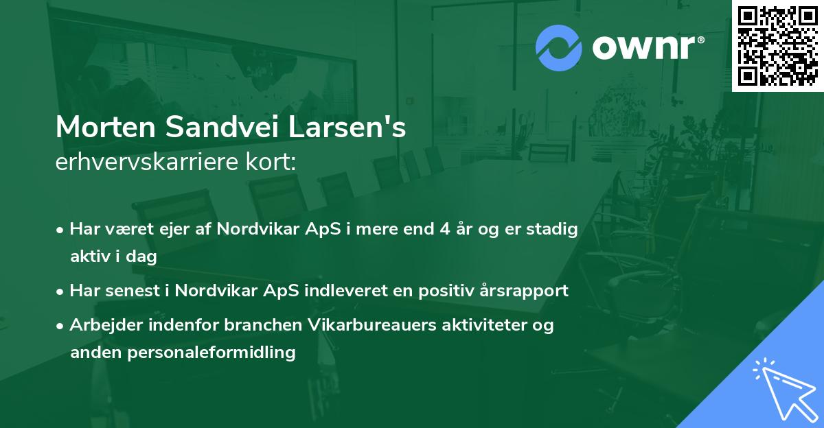 Morten Sandvei Larsen's erhvervskarriere kort