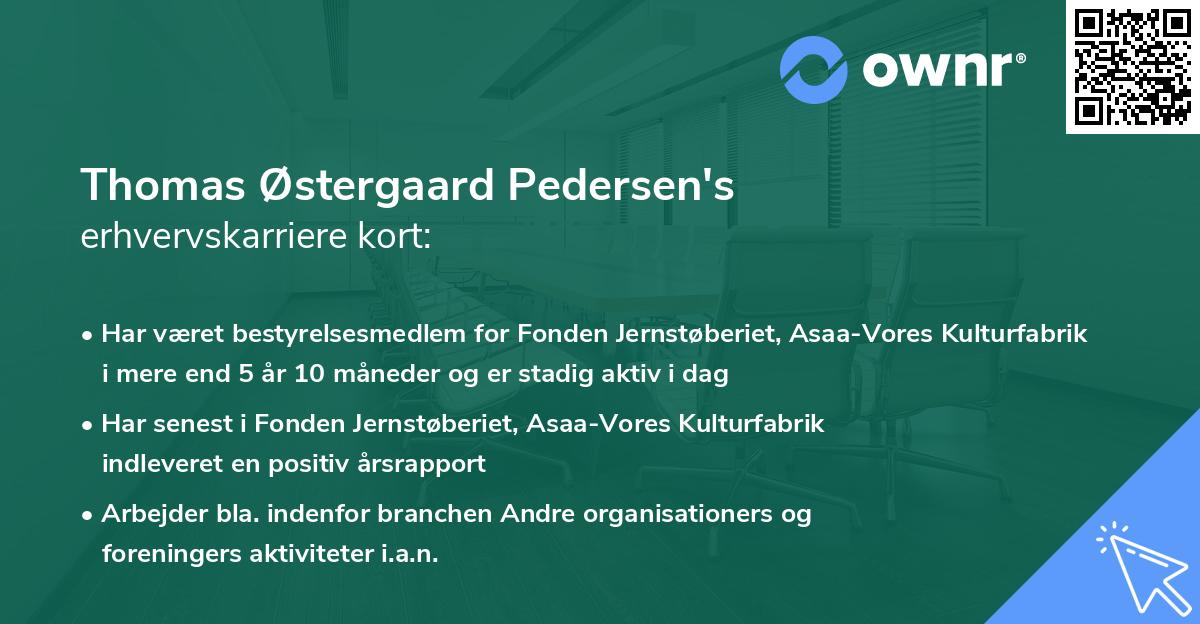 Thomas Østergaard Pedersen's erhvervskarriere kort
