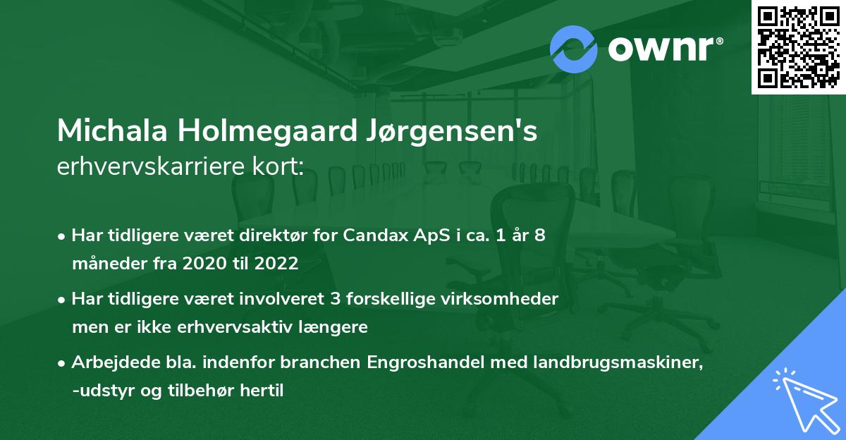 Michala Holmegaard Jørgensen's erhvervskarriere kort