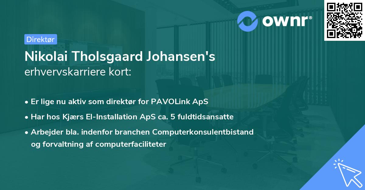 Nikolai Tholsgaard Johansen's erhvervskarriere kort