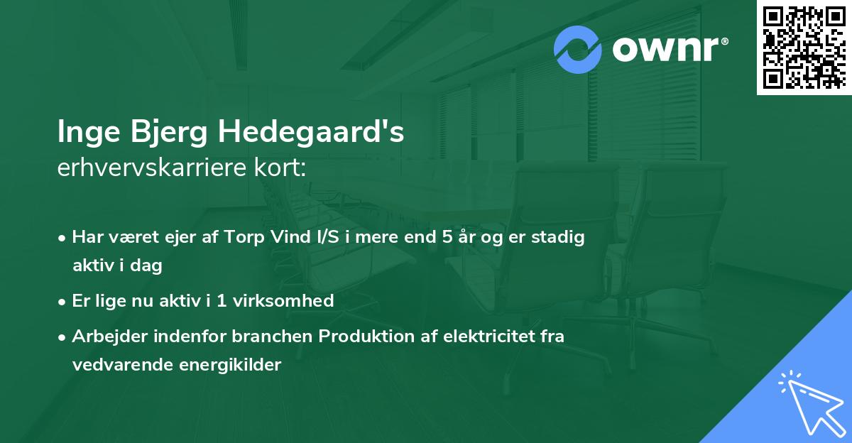 Inge Bjerg Hedegaard's erhvervskarriere kort