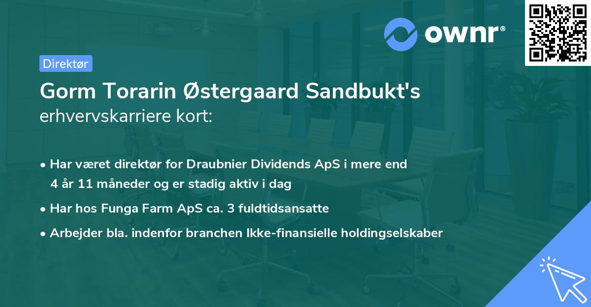 Gorm Torarin Østergaard Sandbukt's erhvervskarriere kort
