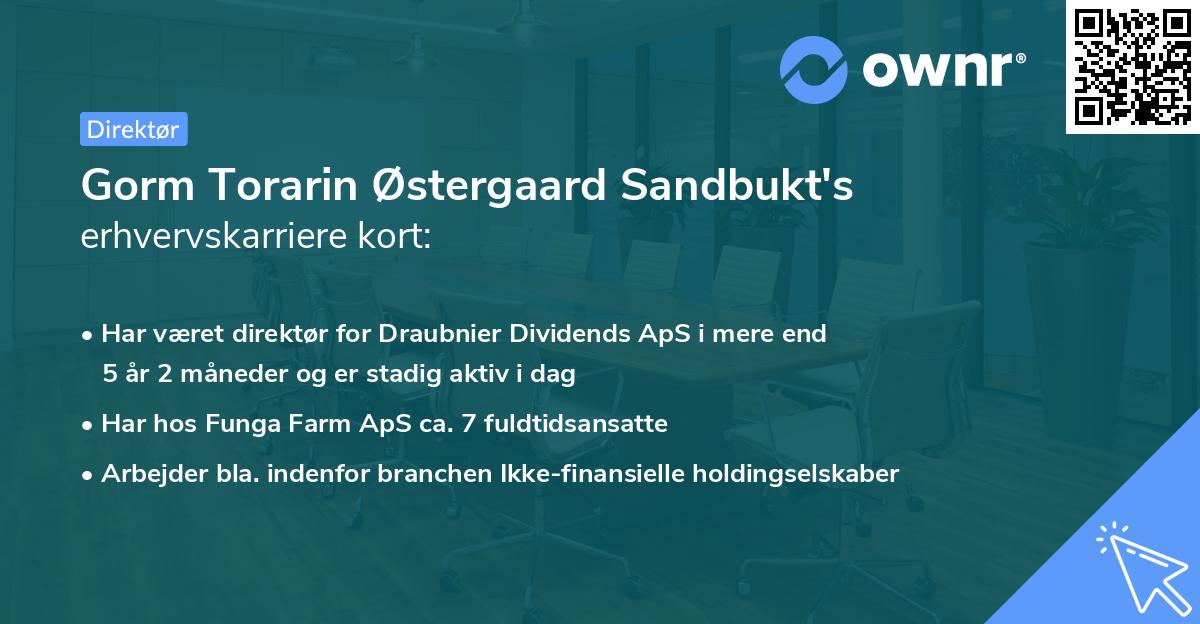 Gorm Torarin Østergaard Sandbukt's erhvervskarriere kort
