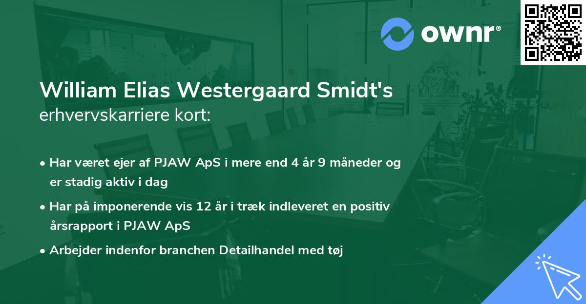 William Elias Westergaard Smidt's erhvervskarriere kort