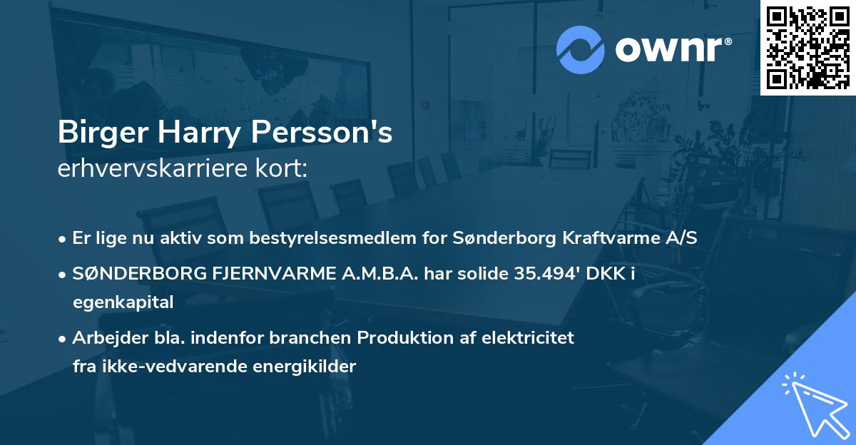 Birger Harry Persson's erhvervskarriere kort