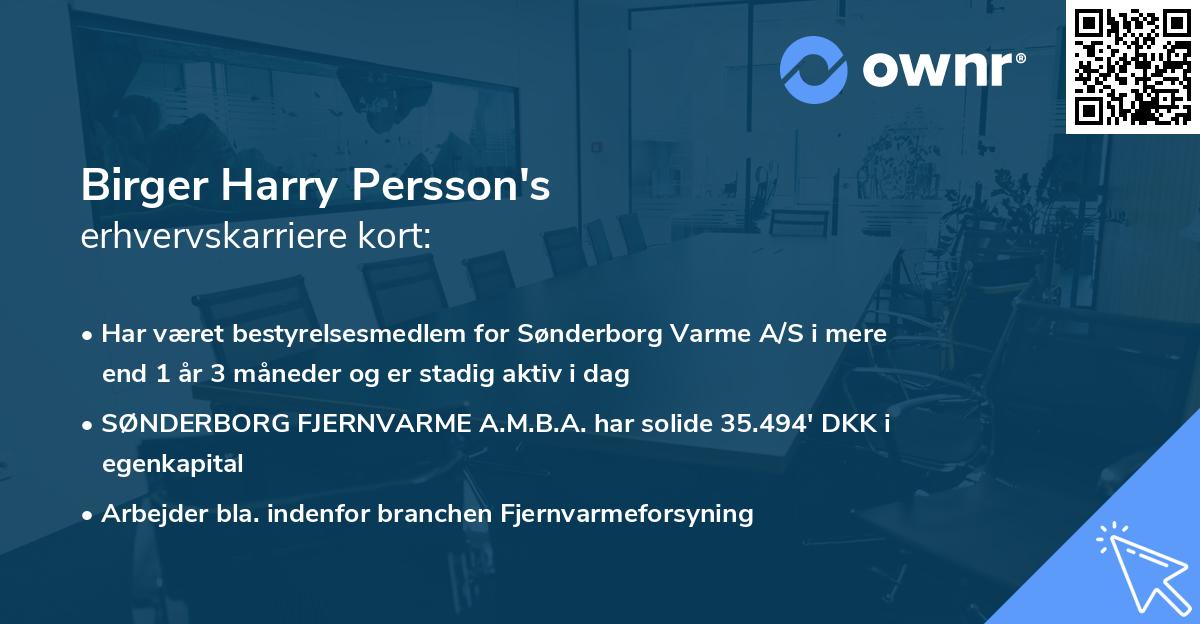 Birger Harry Persson's erhvervskarriere kort