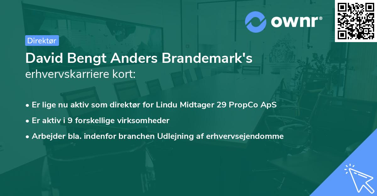 David Bengt Anders Brandemark's erhvervskarriere kort