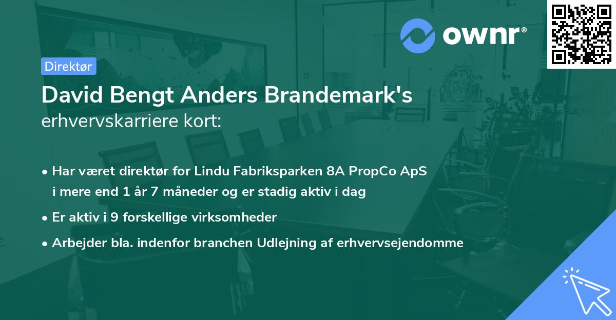 David Bengt Anders Brandemark's erhvervskarriere kort
