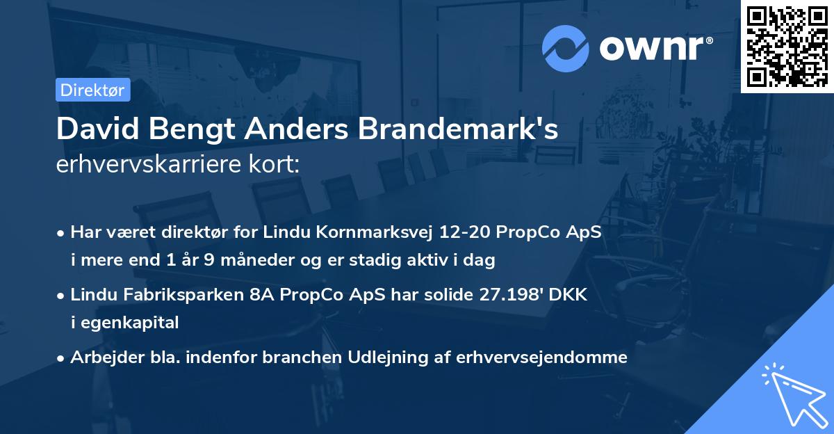 David Bengt Anders Brandemark's erhvervskarriere kort