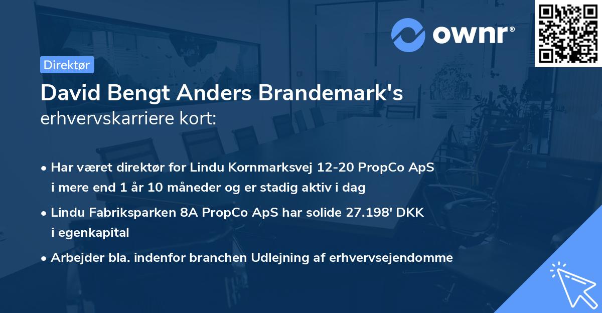 David Bengt Anders Brandemark's erhvervskarriere kort