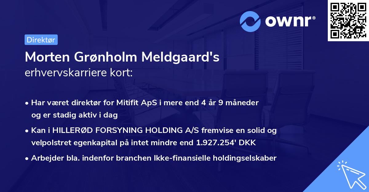 Morten Grønholm Meldgaard's erhvervskarriere kort