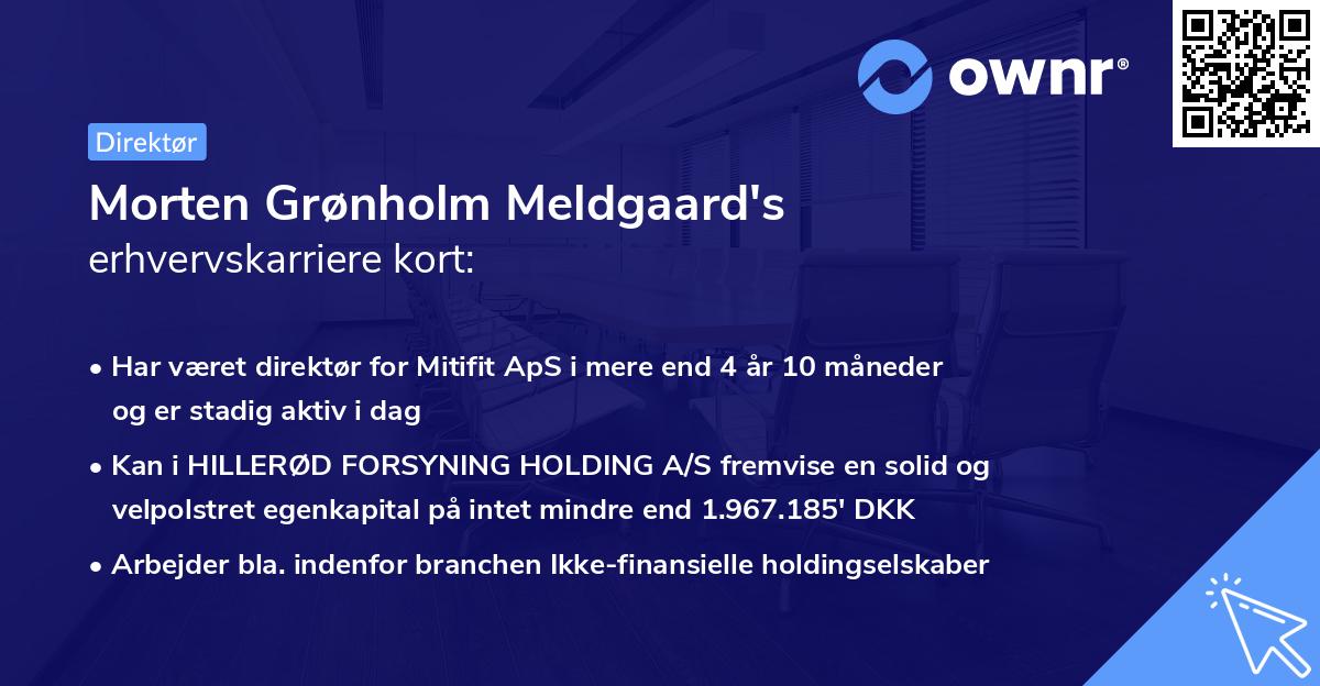 Morten Grønholm Meldgaard's erhvervskarriere kort