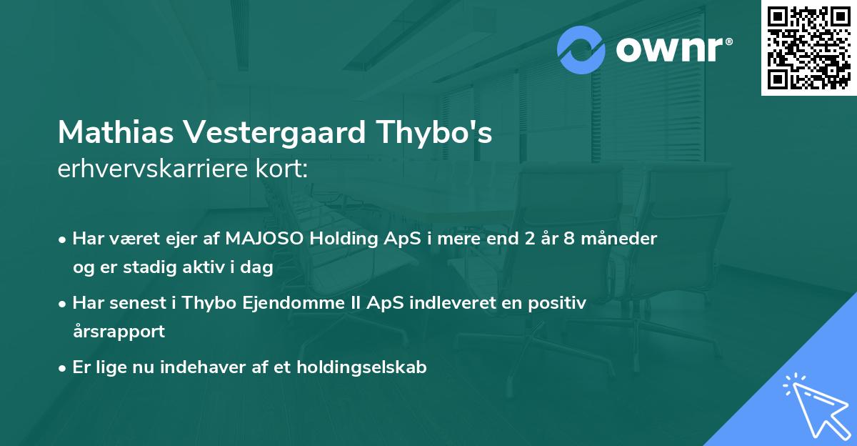 Mathias Vestergaard Thybo's erhvervskarriere kort