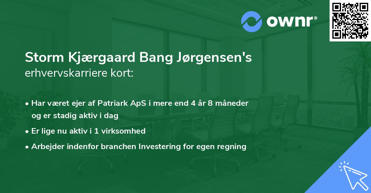 Storm Kjærgaard Bang Jørgensen's erhvervskarriere kort
