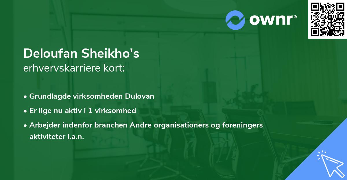 Deloufan Sheikho's erhvervskarriere kort
