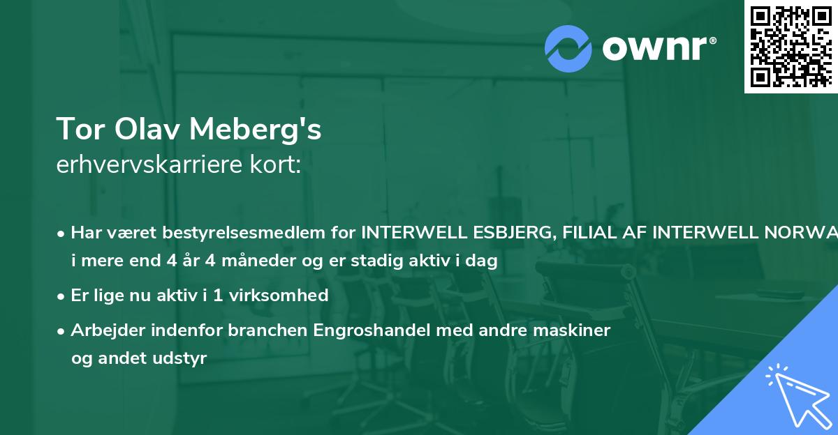 Tor Olav Meberg's erhvervskarriere kort