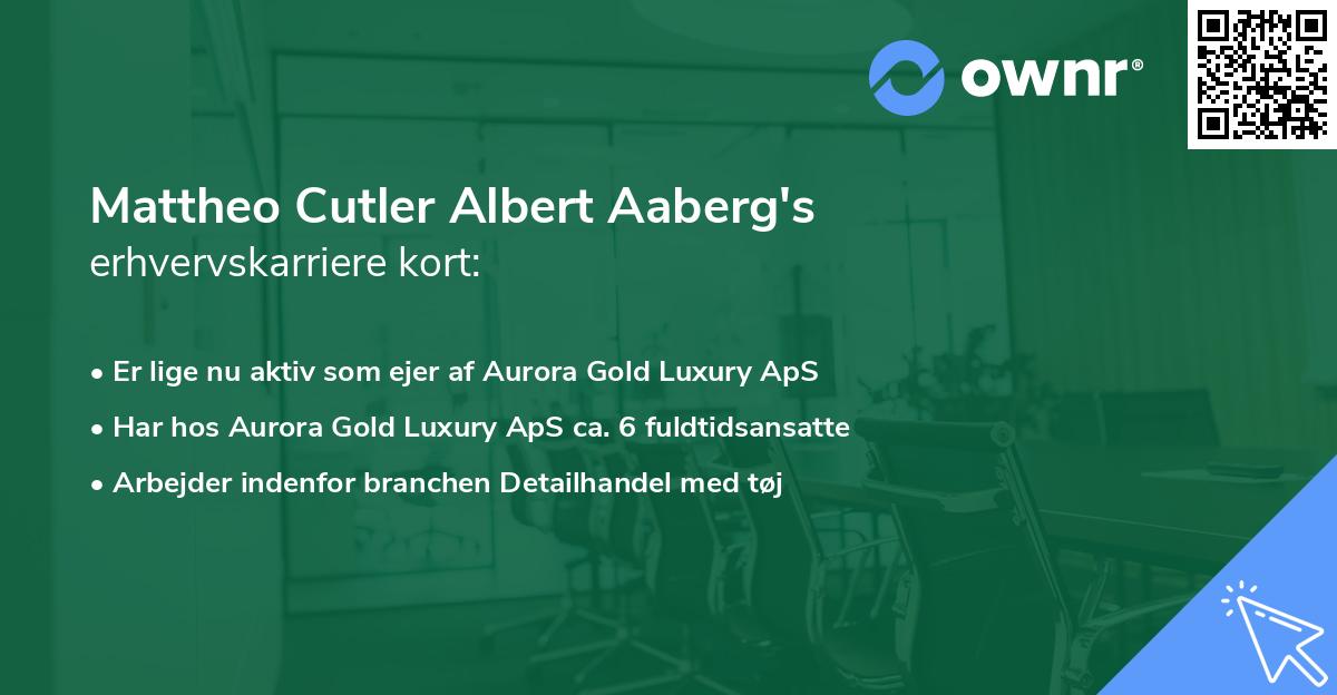 Mattheo Cutler Albert Aaberg's erhvervskarriere kort
