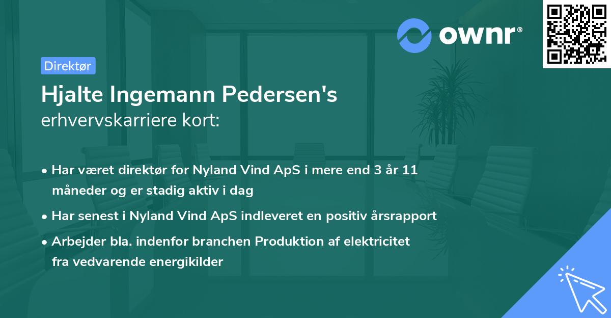 Hjalte Ingemann Pedersen's erhvervskarriere kort