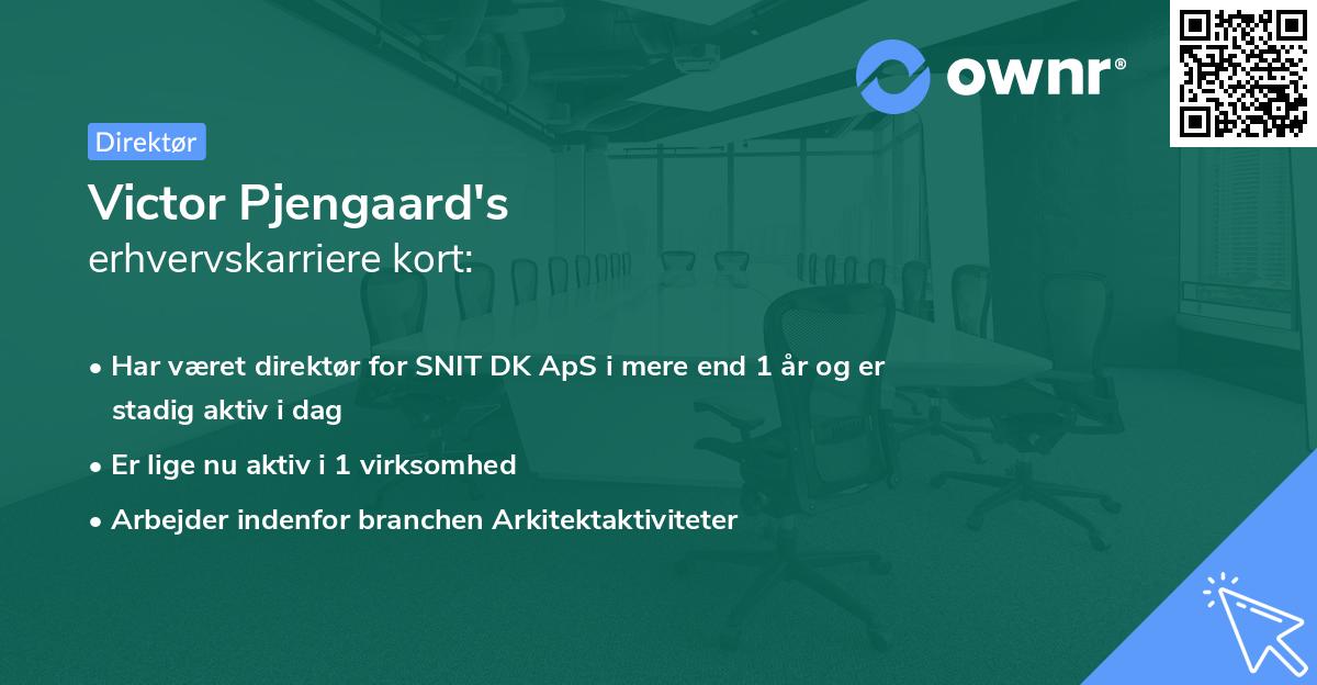 Victor Pjengaard's erhvervskarriere kort