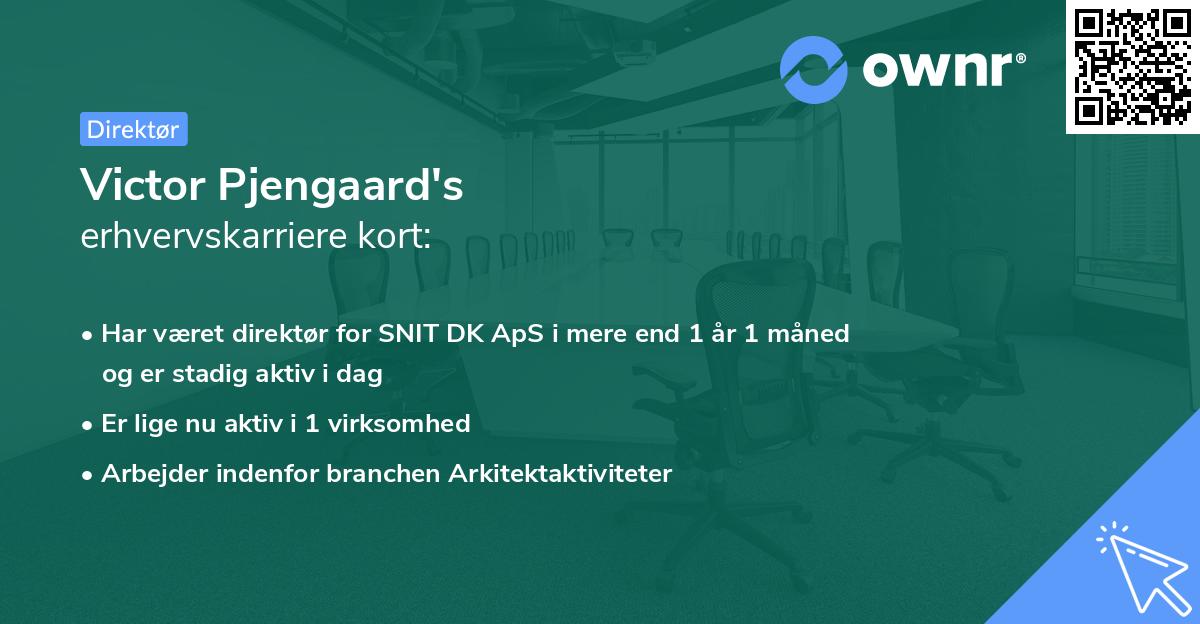 Victor Pjengaard's erhvervskarriere kort