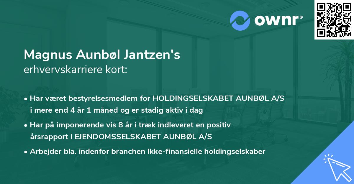 Magnus Aunbøl Jantzen's erhvervskarriere kort