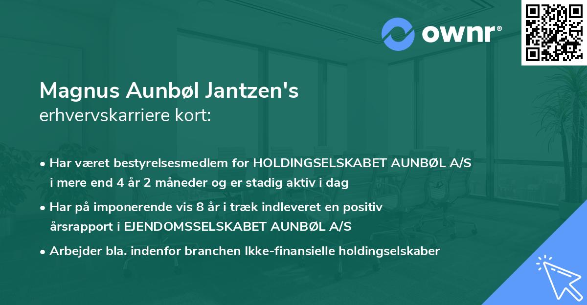 Magnus Aunbøl Jantzen's erhvervskarriere kort