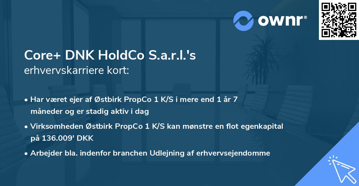 Core+ DNK HoldCo S.a.r.l.'s erhvervskarriere kort