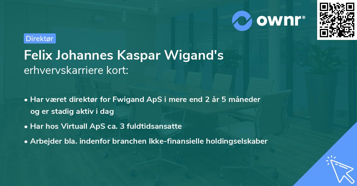 Felix Johannes Kaspar Wigand's erhvervskarriere kort