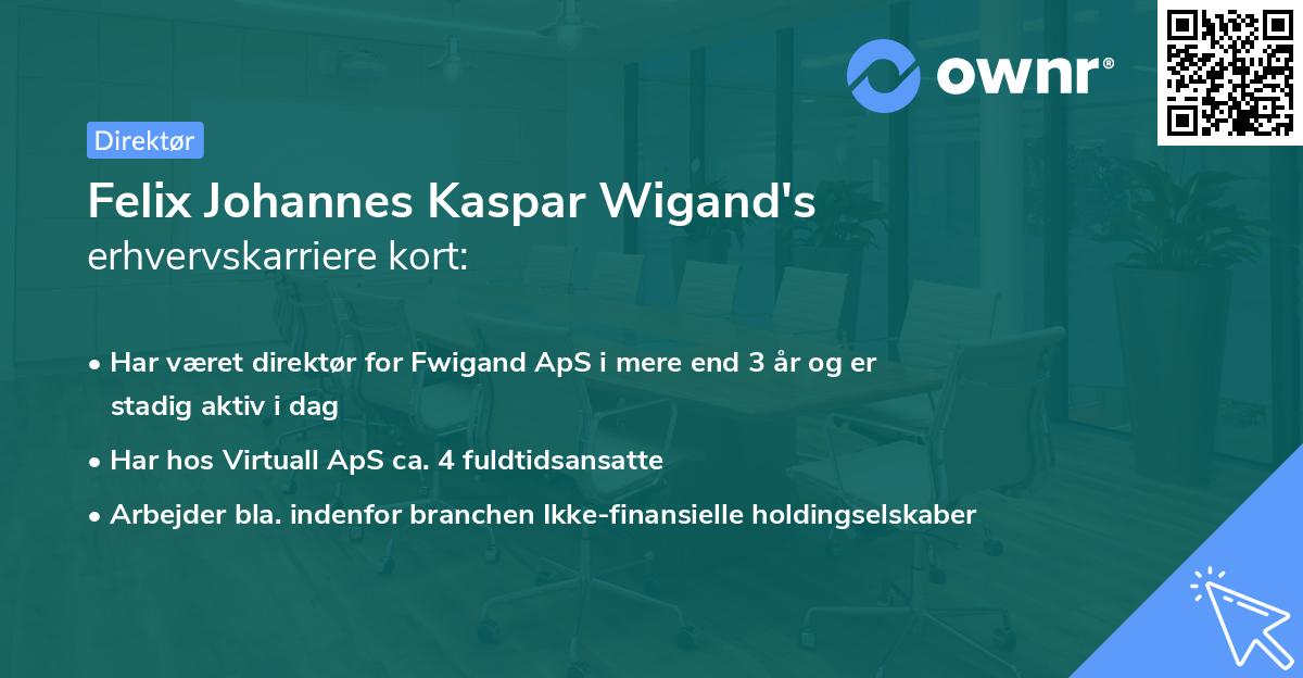 Felix Johannes Kaspar Wigand's erhvervskarriere kort