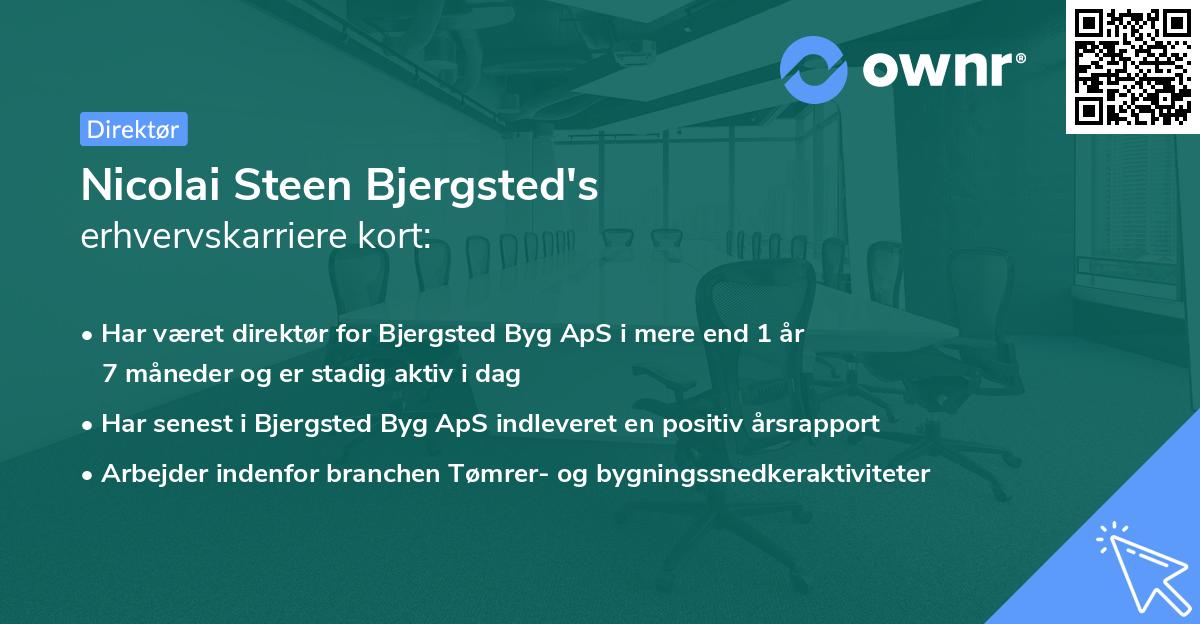 Nicolai Steen Bjergsted's erhvervskarriere kort