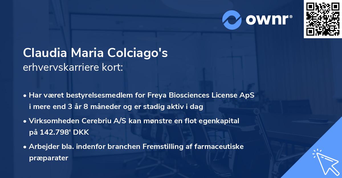 Claudia Maria Colciago's erhvervskarriere kort