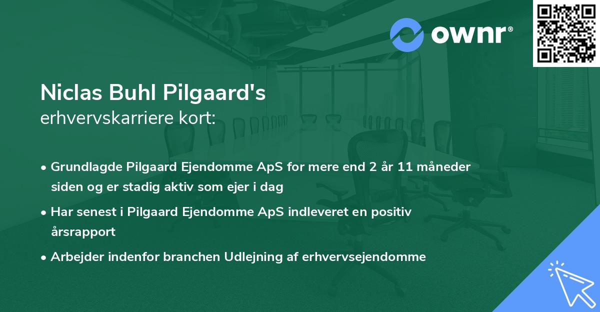 Niclas Buhl Pilgaard's erhvervskarriere kort