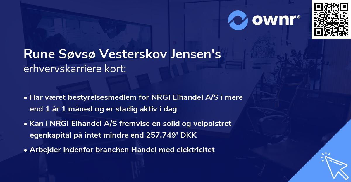 Rune Søvsø Vesterskov Jensen's erhvervskarriere kort