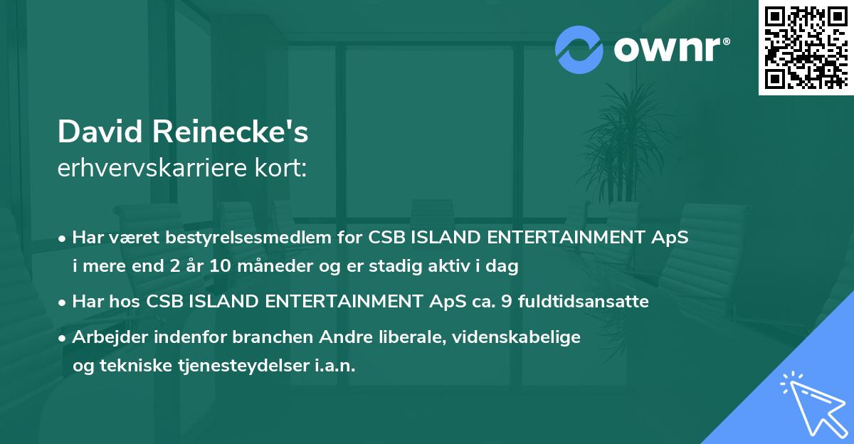 David Reinecke's erhvervskarriere kort