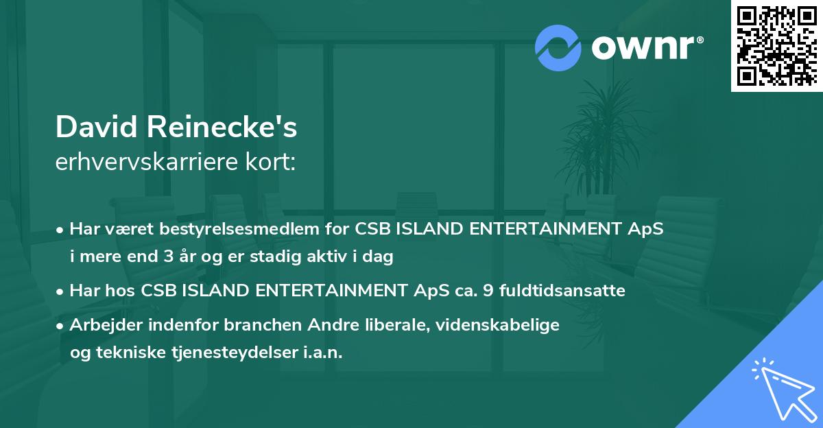 David Reinecke's erhvervskarriere kort