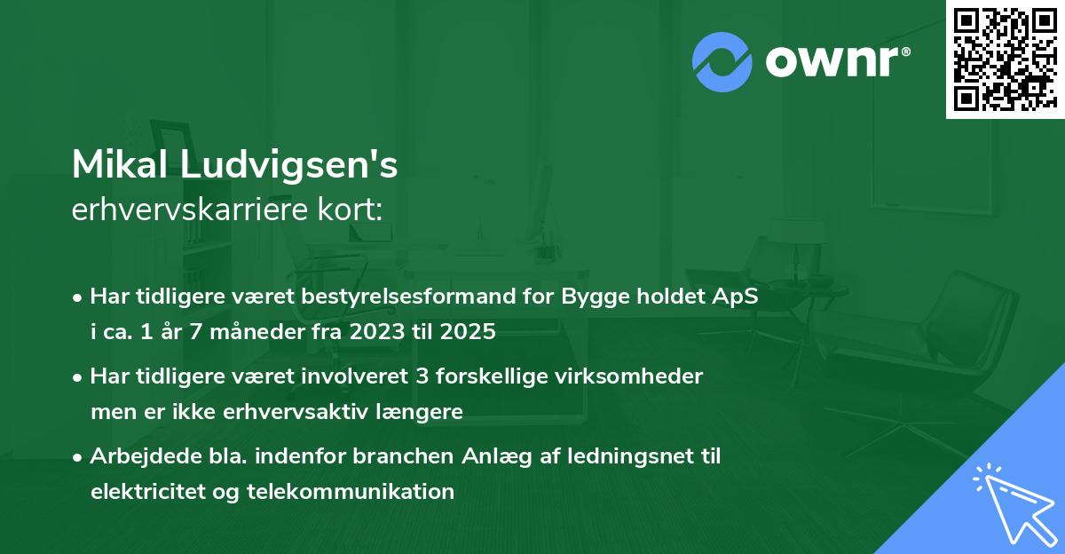 Mikal Ludvigsen's erhvervskarriere kort