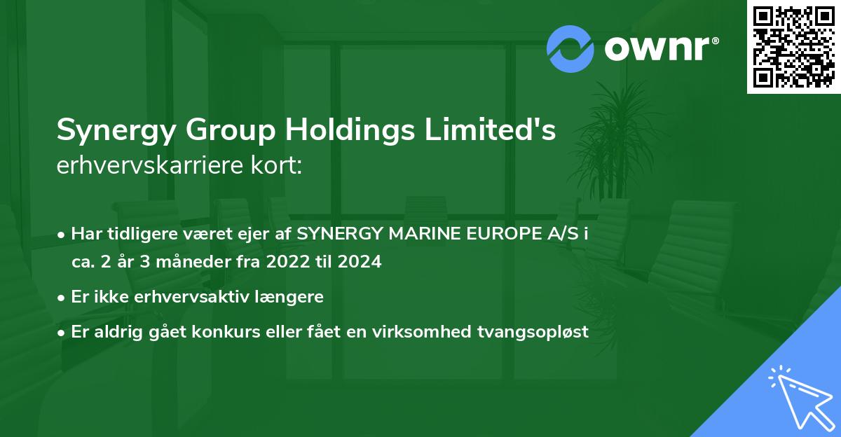 Synergy Group Holdings Limited's erhvervskarriere kort