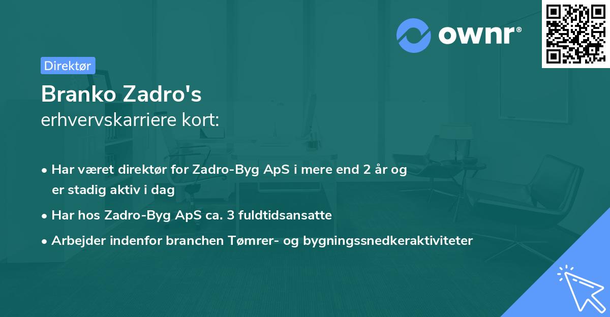 Branko Zadro's erhvervskarriere kort